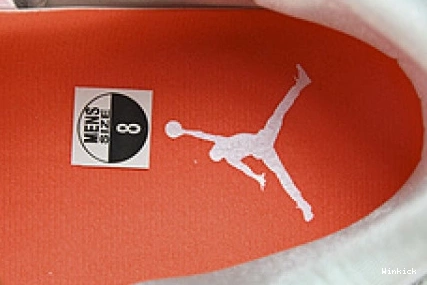 AIR JORDAN CT8527-118 “TEAM ORANGE” 4 0812